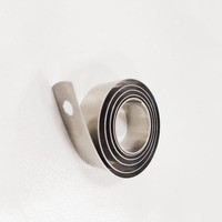 Acier inoxydable plat de bobine de ressort de force variable fait sur commande d'OEM 301 utilisation industrielle
