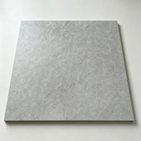 Carreaux de sol en porcelaine antidérapants de style industriel moderne 600x600mm avec surface satinée pour la maison, l'école, la villa