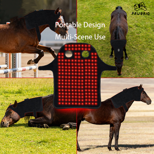 Appareil de thérapie LED infrarouge proche (660nm 850nm) pour chiens et chevaux avec fonctionnalités de soulagement de la douleur et de cicatrisation des plaies, facile à utiliser - Product Image 4