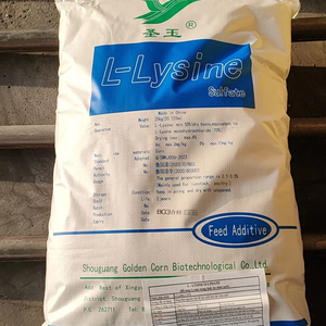 Aditif lisin yang terjangkau dapat mendorong pertumbuhan sehat pada unggas - Product Image 1