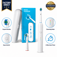 Brosse à dents électrique rotative rechargeable à prix d'usine, brosse à dents oscillante avec poils moyens, étanche IPX7