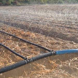 16/20/25/32/40/50/63/75mm Agriculture Irrigation HDPE Tuyau <span class=keywords><strong>Serre</strong></span> Agriculture Hydroponique - Product Image 4