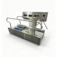 Estación de Higiene Automática Estándar HACCP con Lavador de Botas Integrado y Desinfección de Manos para Fábrica de Alimentos