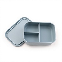 Ensemble de boîtes à lunch en silicone, compatibles micro-ondes, récipients chauffants pour repas, compartiments, boîte bento de qualité alimentaire, moule personnalisé disponible
