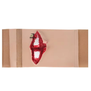 Módulo de Entrenamiento para Fracturas Abiertas de Tibia, Modelo de Simulación de Heridas Abiertas de PVC para Práctica de Sutura - Product Image 2