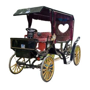 Customized Fashion Horseless Electric Carriage with <b>Canopy</b> <b>for</b> Sightseeing Special Transportation <b>for</b> <b>Sale</b> - Product Image 1