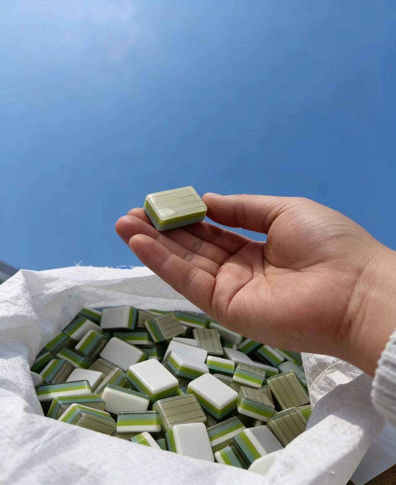 bamboo pattern Back Bubble Limited Edition