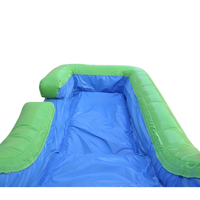Parc aquatique gonflable commercial extérieur en PVC pour usage humide et sec, modèle Palm Tree Combo
