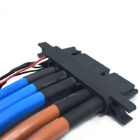 Conjunto de Cable de Alimentación de Alto Voltaje Personalizado para Vehículos Eléctricos, Arnés de Cables de 1000V con Terminal de Anillo y Conector de Señal para Módulo de Carga