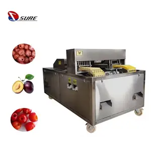 Prix de gros Machine à dénoyauter les cerises Machine à dénoyauter les olives Machine à dénoyauter les fruits secs de bonne qualité