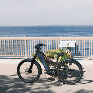 Vélo de plage électrique Green Power E Road Trailer à grande vitesse, inégalé - Product Image 1
