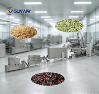 Machine de fabrication de riz nutritif longue durée, équipement de production de riz enrichi en nutriments, extrudeuse d'analogues de riz