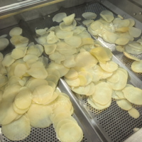 Hoge kwaliteit diepvries aardappelchips productielijn, mini-fritesmachine voor kleine schaalproductie, te koop