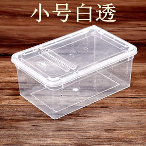 Caja ventilada de plástico apilable para reptiles, caja de cría pequeña para <span class=keywords><strong>tarántulas</strong></span>, cangrejos ermitaños - Product Image 3