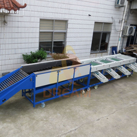 Automatische Knoflook Kruidnagel Aardappel Sortering Separator Machine Kersengroente Fruit Olijf Knoflook Grootte Sorteermachine