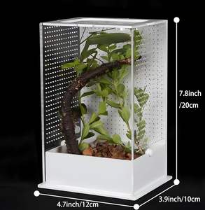 Petit Terrarium Araignée 4.7 \ "X 3.9 \" X 7.8 \ "pour Araignées Sauteuses Mante Priante Autres Invertébrés Présentoir pour Arboréal - Product Image 1