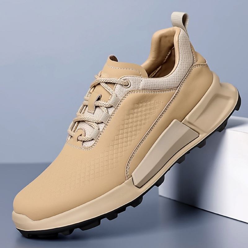 แอปริคอท