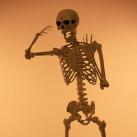 Squelette grandeur nature de 165 cm avec 360 articulations, accessoire effrayant pour Halloween, corps entier suspendu