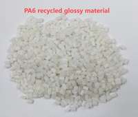 Chine Usine Vente Directe Polyamide Recyclé 6 Granules De Plastique Recyclés Matériaux Nylon 6 PA6