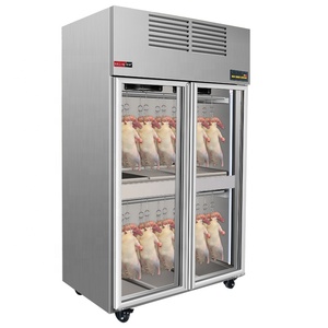 Réfrigérateur Commercial Économique pour Viande Séchée, Affichage Numérique, Déshumidification Rapide, Préservation Automatique, Porte Simple, Hygiène XD - Product Image 1