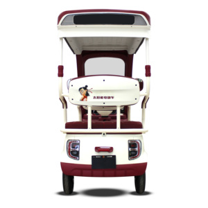 New Energy Solar Electric 3-Wheeler Self-Charging Motorized Adult Tricycle with Heavy-Duty Wheels Roof Open Body Electric <strong>Trike</strong> - Product Image 4