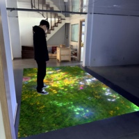 Système de projection interactive au sol pour intérieur, un dispositif interactif proposant une variété de scénarios de jeux au sol interactifs