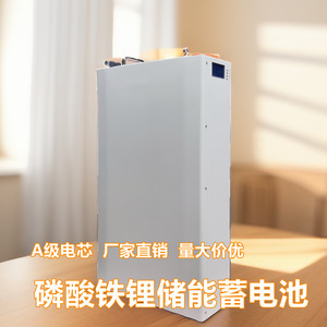 แบตเตอรี่ลิเธียมไอรอนฟอสเฟต (LiFePO4) แบบติดผนัง สำหรับเก็บพลังงาน 51.2V 100Ah 200Ah ระบบพลังงานแสงอาทิตย์แบบออฟกริด พร้อมการสื่อสารผ่าน RS485 - Product Image 4