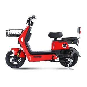 2023 Hot Sale Dirt 20 Inch Fat Tire E-Bike Electrica Mountain Road Full Suspension Electric Bicycle