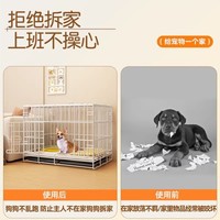 Cage pliable en fer pour chien avec cloison solide, boîte portable pour l'entraînement et l'apprentissage de la propreté des chiots