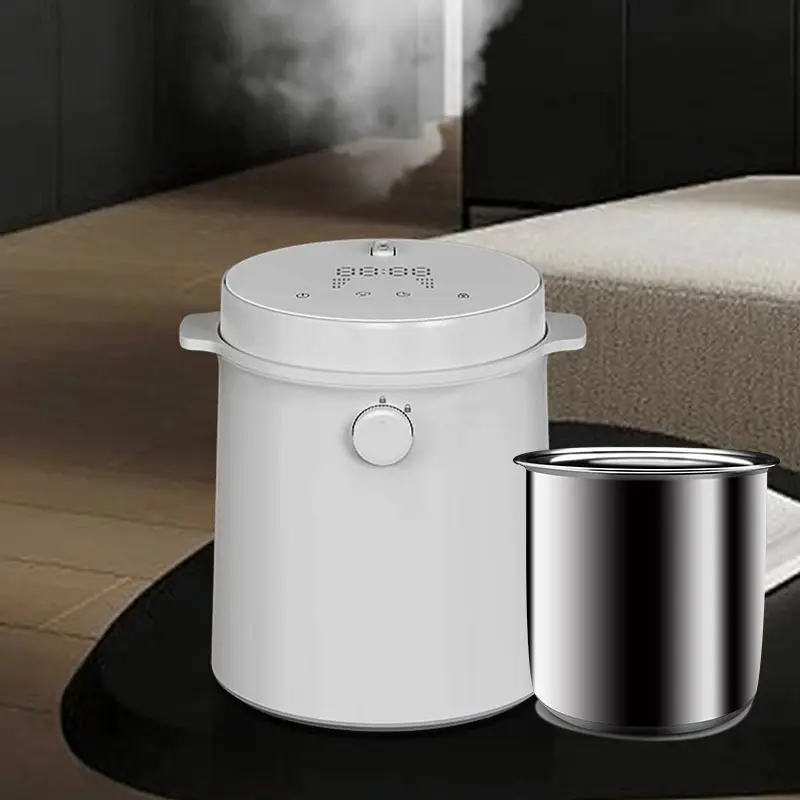 2023 नई उत्पाद अद्वितीय Humidifier फैंसी चावल कुकर स्टेनलेस हीटिंग Humidifier 6L