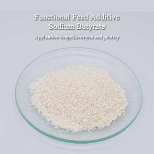 Additif alimentaire de butyrate de sodium de haute qualité 25 kg/sac Marque FARMJEWEL Stabilisateur de <span class=keywords><strong>flore</strong></span> <span class=keywords><strong>intestinale</strong></span> pour bétail et volailles Santé <span class=keywords><strong>intestinale</strong></span> 12 - Product Image 2