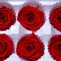 Grosir Kepala Mawar Abadi Premium 5-6 cm, Perlengkapan Bunga untuk Dekorasi Pernikahan, Natal, dan Hari Valentine