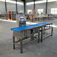 Automatische Fruitsorteermachine Groente Sorteermachine