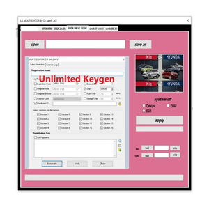 Keygen illimité MULTI EDITOR V2 DTCREMOVER pour KIA Hyundai/Toyota DTC et SUPPORT DE MODIFICATION SIM2K14X 24X - Product Image 1