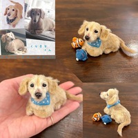 Figurine de chien ou de chat en peluche personnalisée, photo, sculpture réaliste faite à la main, décoration de la maison, cadeau de bricolage avec doublure en maille
