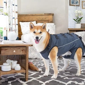 Tam Vücut Destekli Köpek Kaldırma Tasması Ayarlanabilir Askılı Kurtarma Askısı Yaşlı Köpekler için Saplı Evcil Hayvan Kaldırma Yeleği - Product Image 2