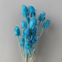 Fleur de Teasel séchée et préservée en gros, Dipsacus véritable naturel éternel, fleur colorée teinte pour arrangements floraux DIY, Noël