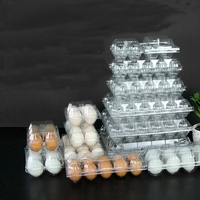 Plateau à œufs de poulet en plastique, 4 8 12 20 30 trous, boîte transparente, emballage, magasin d'usine, PET écologique, 4 8 12 20 30