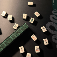 The Exotics - Collection de tuiles de Mahjong américaines à motif serpents, tuiles en acrylique à imprimé animaux sauvages pour jeux de société en intérieur