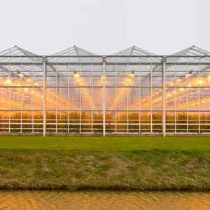 알루미늄 주택 소형 미니 저가 프레임 유리 상업용 정원 온실 온실 온실 온실