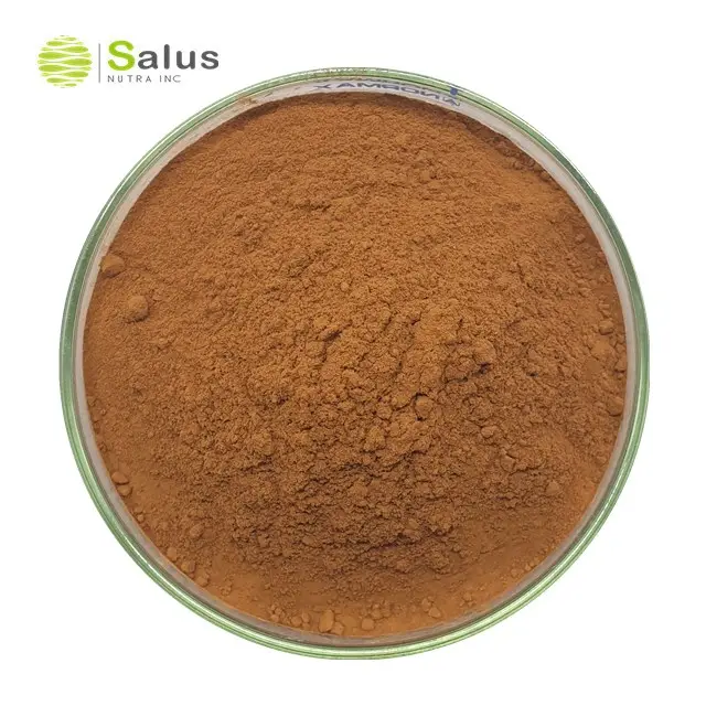 Instant Kombucha Tea Powder Zero Sugar, Sparkling Fermented OEM Service Use for Baking and Making Hot or Cold Beverages