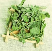 Feuilles de menthe poivrée séchées de qualité supérieure à prix abordable