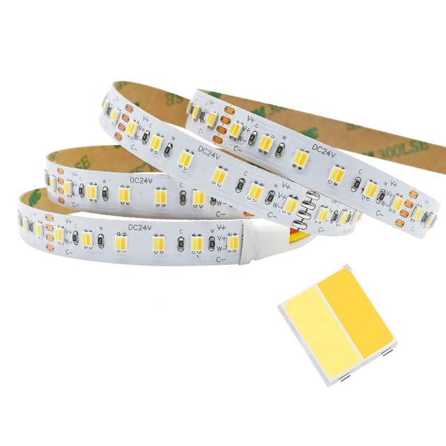 SMD2835 2-in-1 CCT LED Light Strips DC24V 12W High CRI90 Tunable Flexible IP68 Remote Control Landscape LED for Smart Home