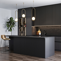 Designs de cuisines australiennes avec armoires en laque noire de luxe