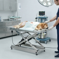 Table d'opération électrique chauffante vétérinaire en acier inoxydable avec poteau IV pour clinique vétérinaire