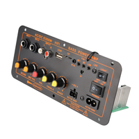 Bluetooth Ev Güç Amplifikatörü Mini için D300W Amplifikatör Kartı, USB ve TF Çift Mikrofon Girişi, Uzaktan Kumanda, DC 12V/24V AC 220V ile