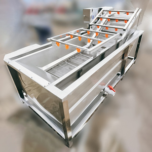 Laveuse de fruits et légumes à courant de Foucault pour tomates cerises et noix de coco, nouvelle ligne de lavage commerciale à <span class=keywords><strong>prix</strong></span> d'usine - Product Image 5