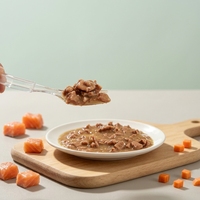 Nourriture pour chats en conserve de qualité supérieure, saveur saumon et poulet, sans céréales, nourriture humide nutritive pour chats, OEM ODM, étiquette privée