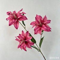 Künstliche Vintage-Lilien aus Seide, 3D-gedruckt, individuell anpassbare Farben, Hochzeits- und Party-Hintergrunddekorationen