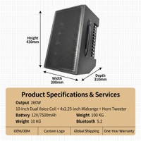 Altavoz Bluetooth para Guitarra Directo de Fábrica con Batería Recargable Integrada para Transmisión en Vivo